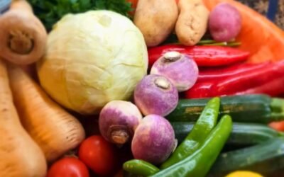 Couscous, entre histoire et modernité : notre empreinte